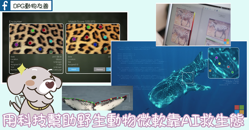 用科技幫助野生動物微軟靠ai救生態 動物友善網