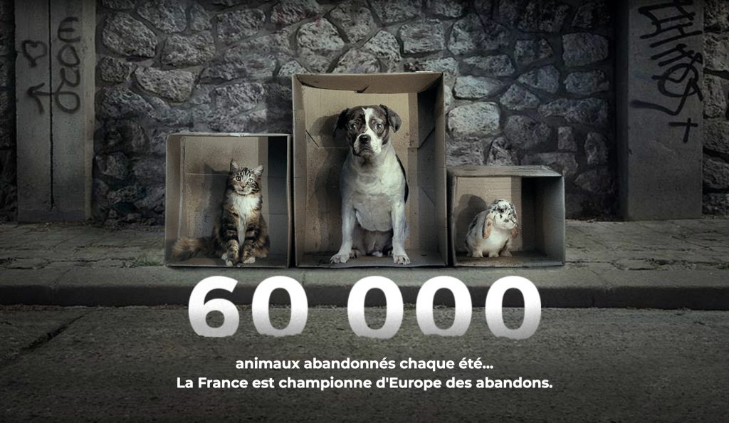 夏季是法國的棄養高峰期，約有6萬隻寵物被拋棄。 Fondation 30 Millions d’Amis網站截圖