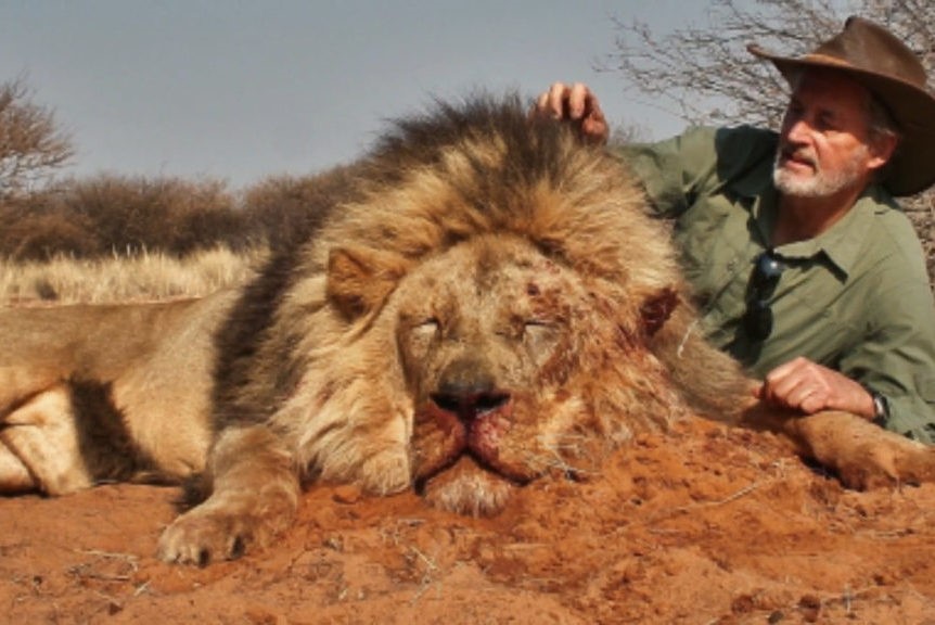 860 animal lives on offer at trophy hunters’ Reno convention; elephants, wolves, leopards and black bears in peril