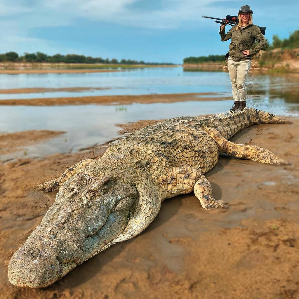 美國戰利品獵人獵殺鱷魚惹議笑稱：要拿來做錢包- 動物友善網