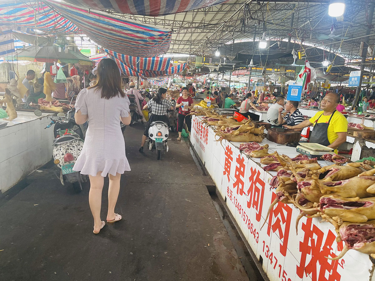 Dog Meat Markets in Yulin, China 動物友善網